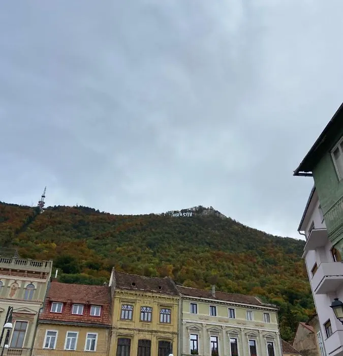 Green Vibes Central Brasov-1