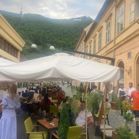 Green Vibes Central Brasov-3